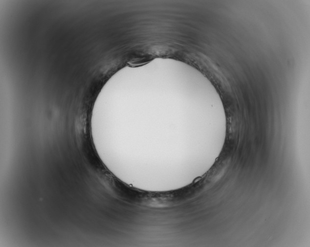 X0000086900368200705141647