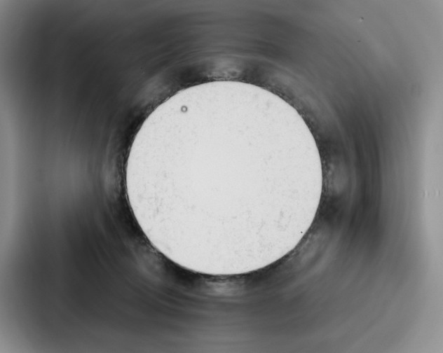 X0000086900370200705141647