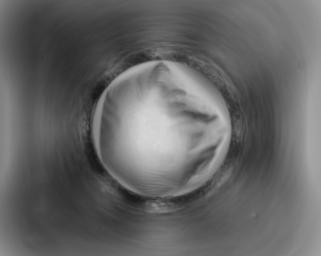 X0000086900372200705141647