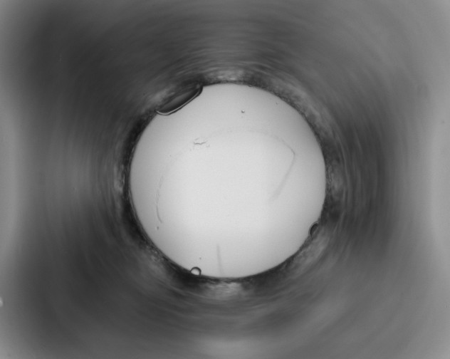 X0000086900374200705141647