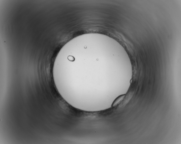 X0000086900377200705141647