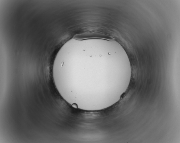 X0000086900378200705141647