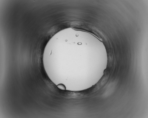 X0000086900379200705141647