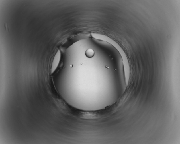 X0000086900380200705141647