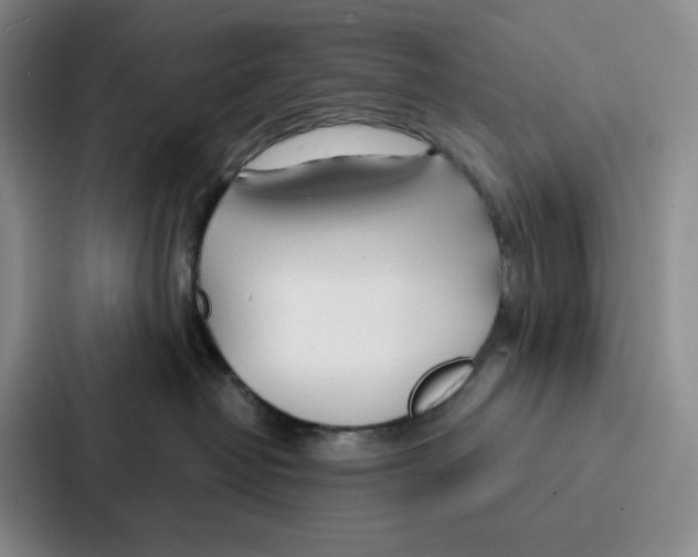 X0000086900382200705141647