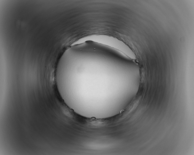 X0000086900383200705141647