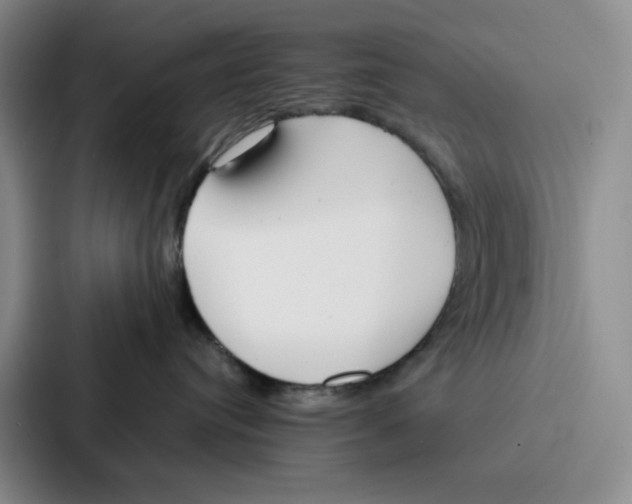 X0000086900384200705141647