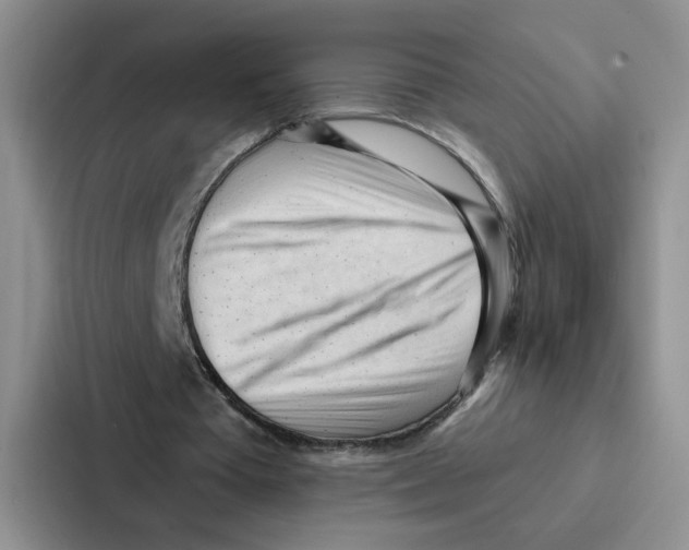 X0000086900385200705141647