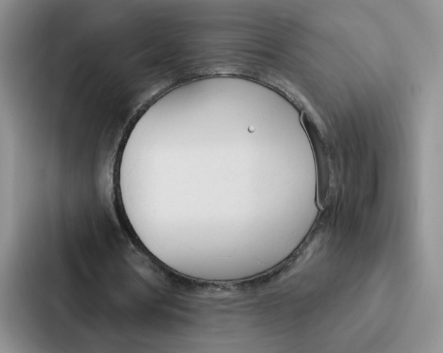 X0000086900386200705141647