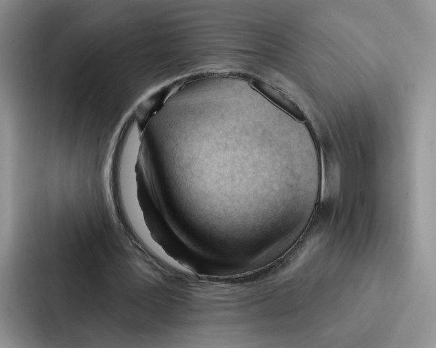 X0000086900387200705141647