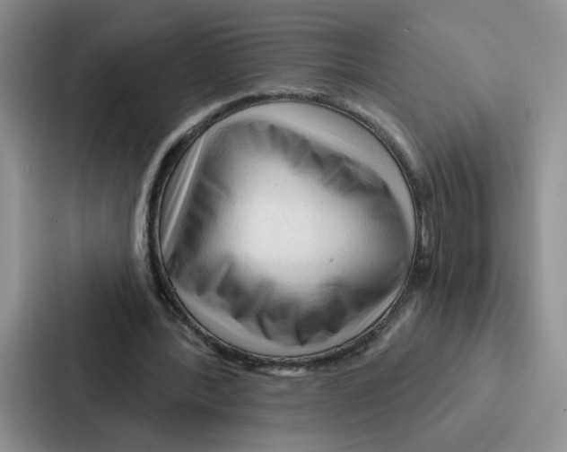 X0000086900388200705141647