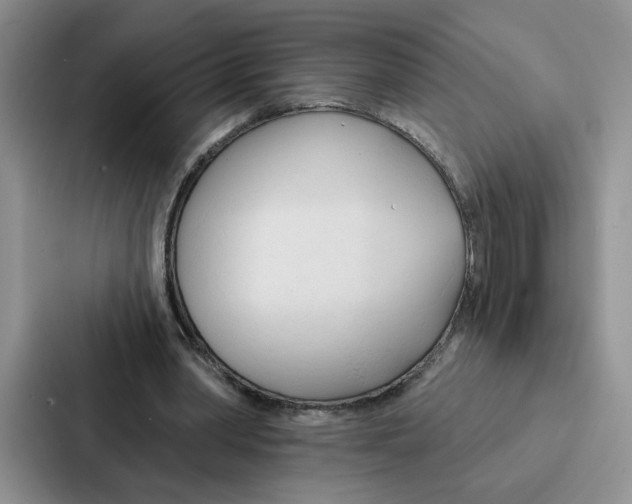 X0000086900390200705141647