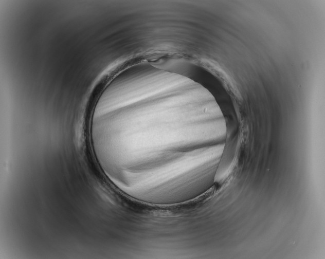 X0000086900392200705141647