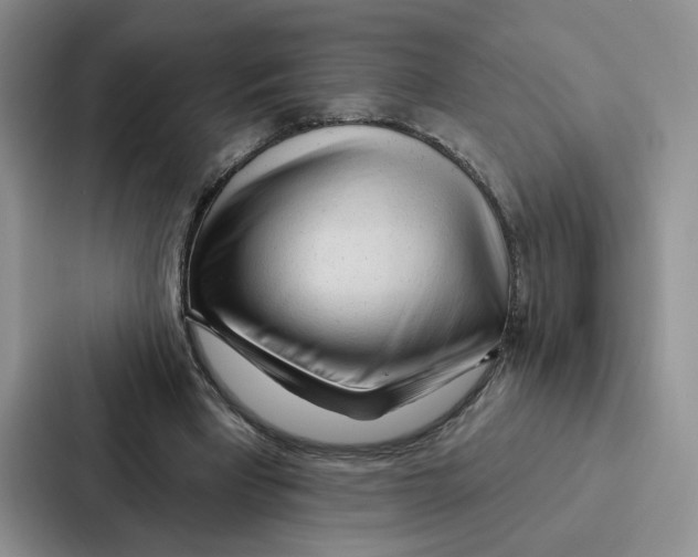 X0000086900393200705141647