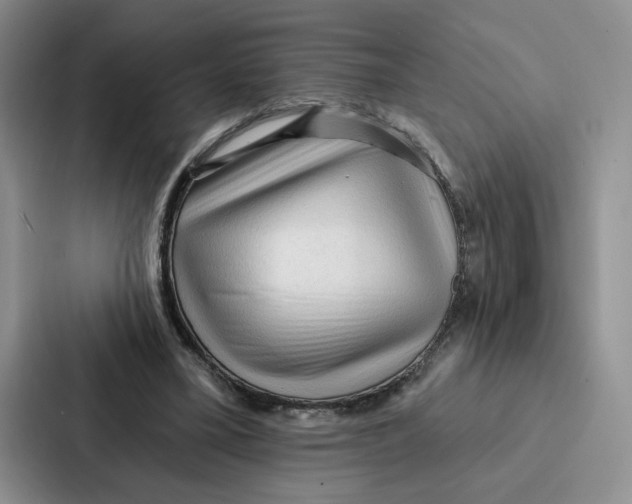 X0000086900395200705141647