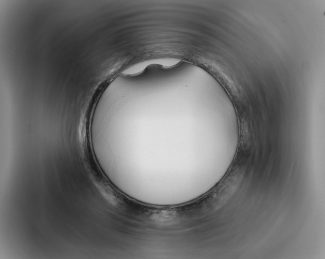 X0000086900398200705141646