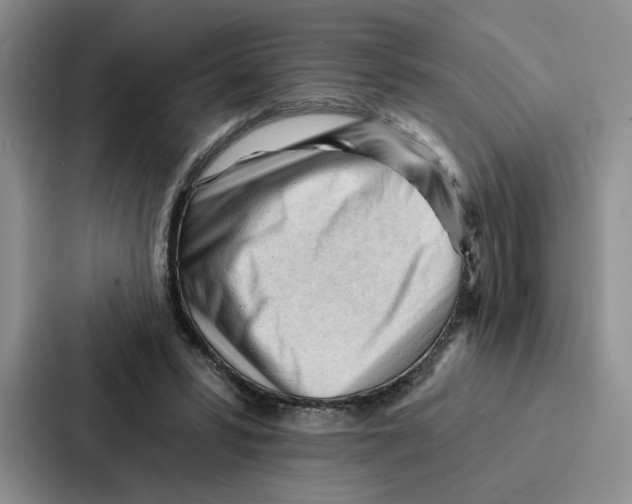 X0000086900399200705141646