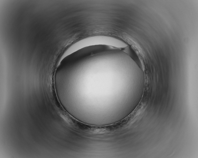 X0000086900401200705141646