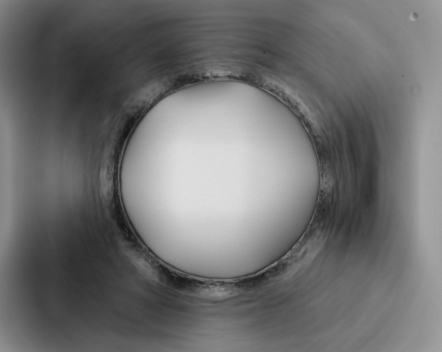 X0000086900402200705141646