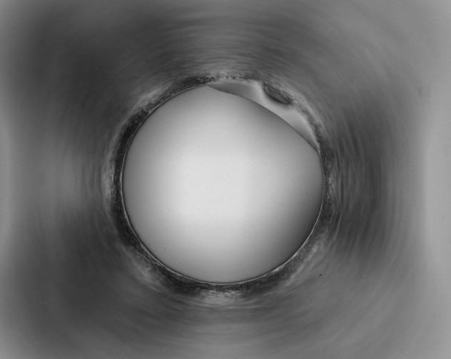 X0000086900403200705141646