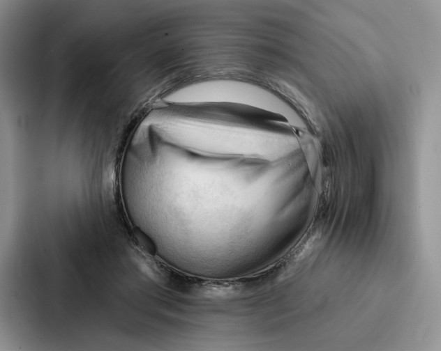 X0000086900405200705141646