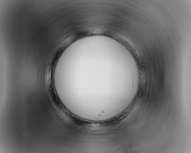 X0000086900406200705141646