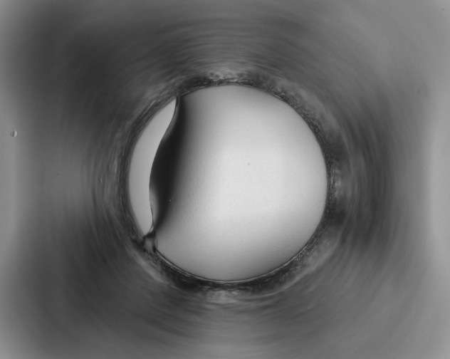 X0000086900408200705141646