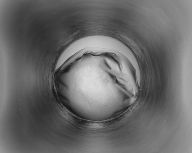 X0000086900409200705141646