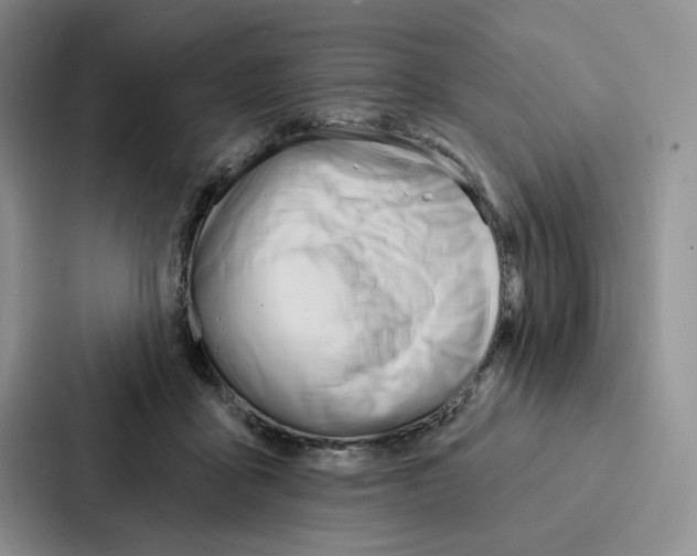 X0000086900411200705141646