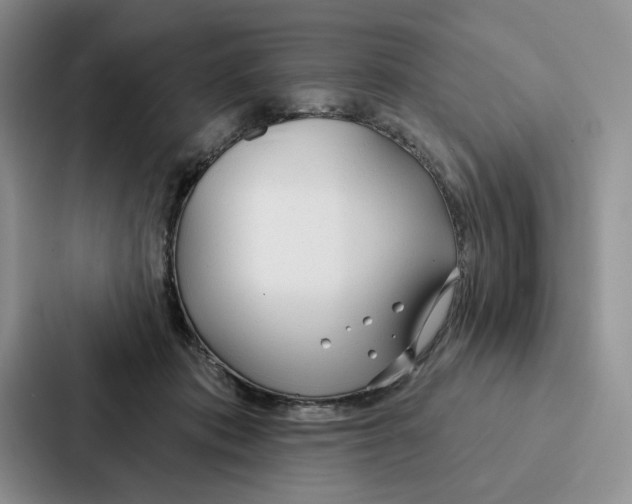 X0000086900413200705141646