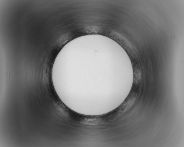 X0000086900414200705141646