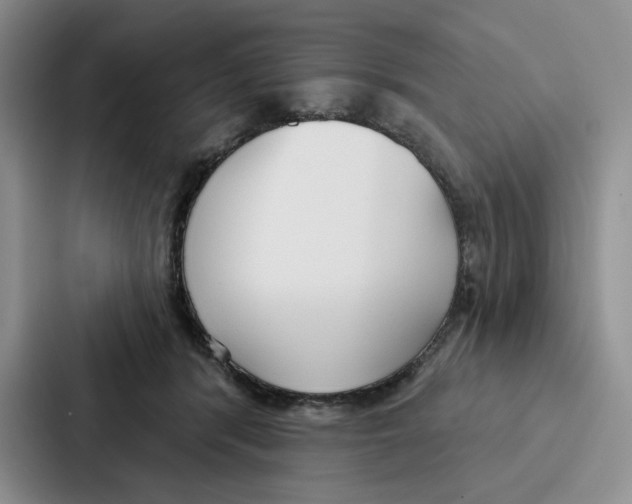 X0000086900416200705141646