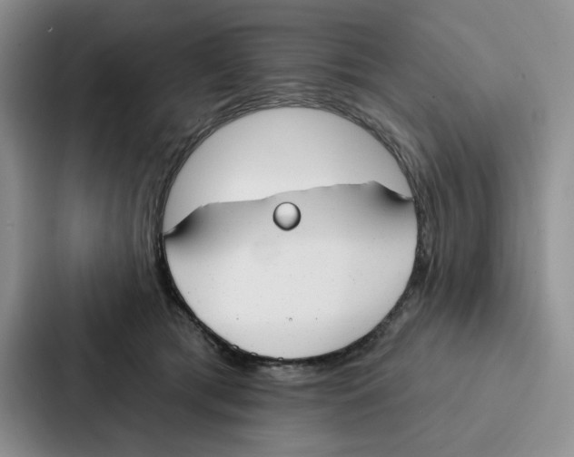 X0000086900417200705141646