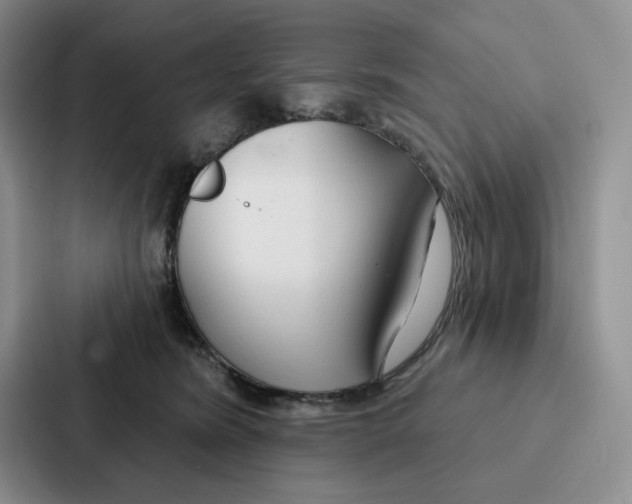 X0000086900420200705141646