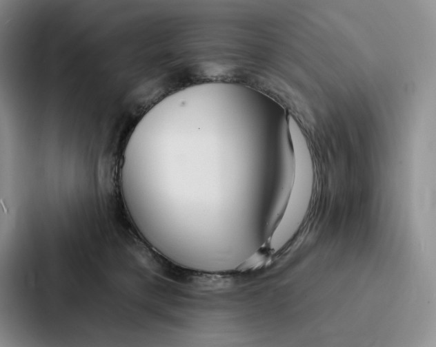 X0000086900421200705141646