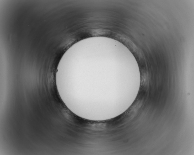 X0000086900426200705141646