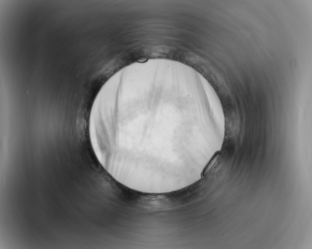 X0000086900427200705141646