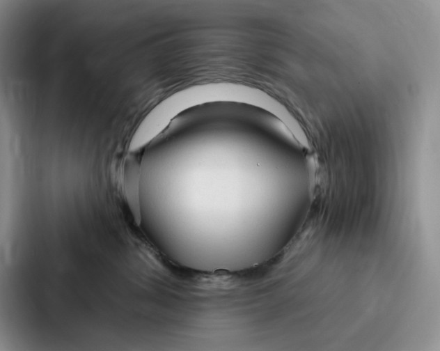 X0000086900428200705141646