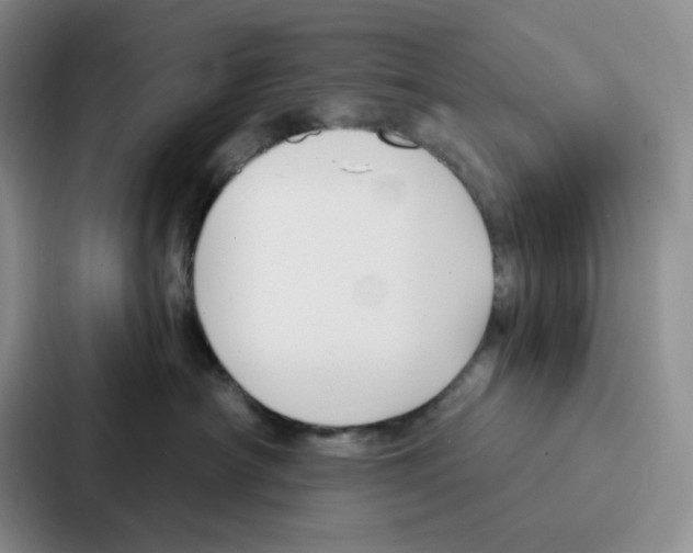 X0000086900430200705141646