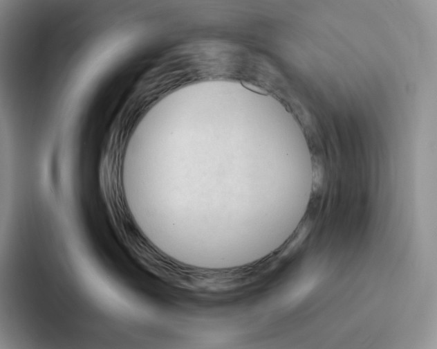 X0000086900431200705141646