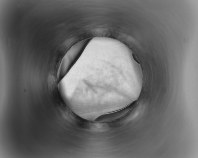 X0000086900432200705141646