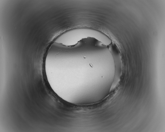 X0000086900434200705141645