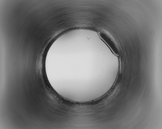 X0000086900435200705141645