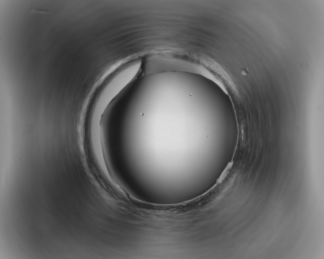 X0000086900436200705141645