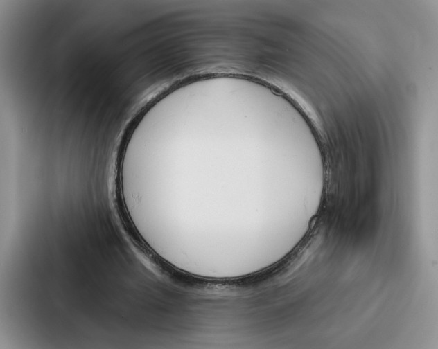 X0000086900437200705141645