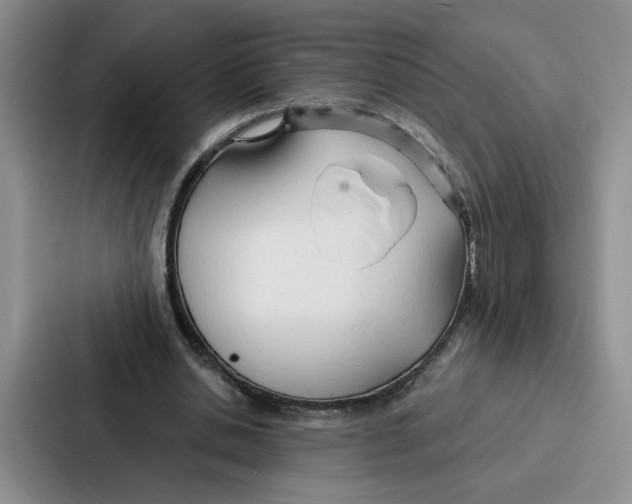 X0000086900438200705141645