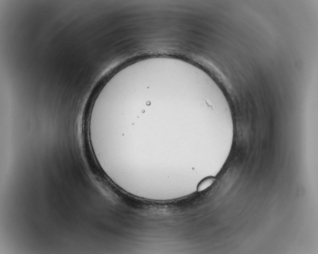 X0000086900439200705141646