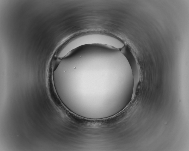 X0000086900440200705141646