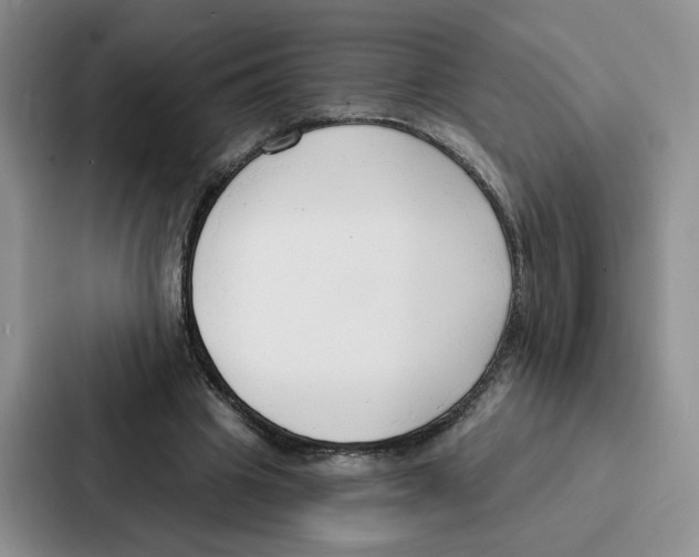 X0000086900441200705141646