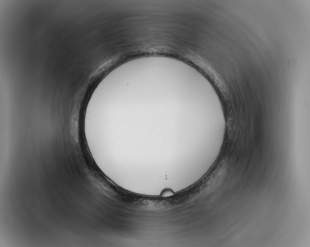 X0000086900442200705141646